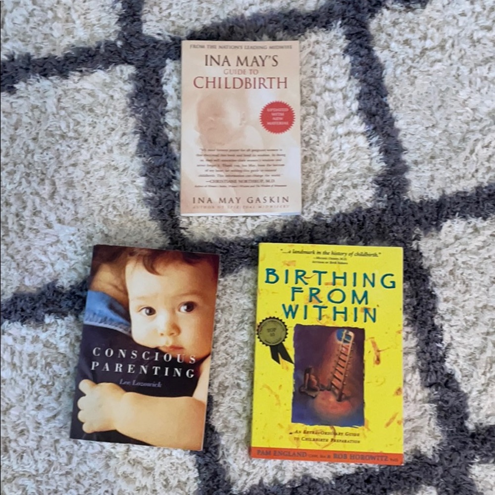 Birth Pregnancy and Parenting Books